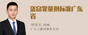 盗窃罪量刑标准广东省