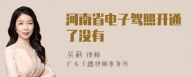 河南省电子驾照开通了没有