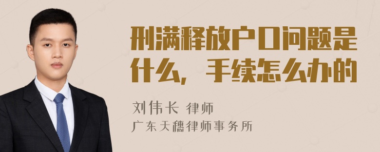 刑满释放户口问题是什么，手续怎么办的