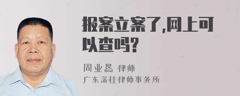 报案立案了,网上可以查吗?