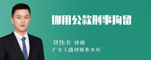 挪用公款刑事拘留