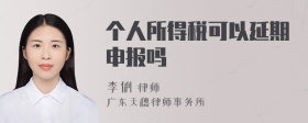 个人所得税可以延期申报吗