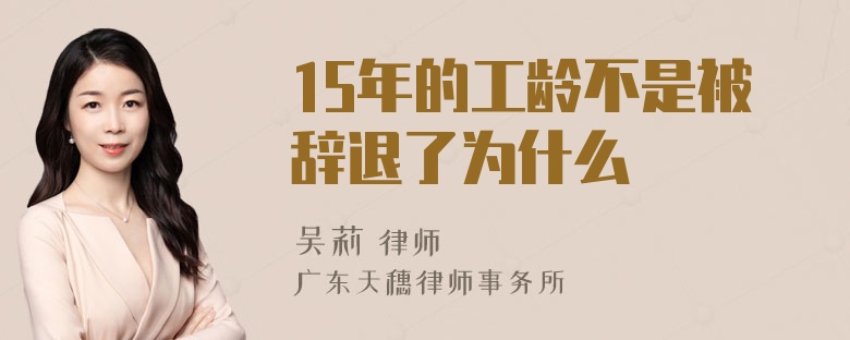 15年的工龄不是被辞退了为什么