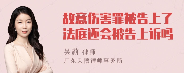 故意伤害罪被告上了法庭还会被告上诉吗