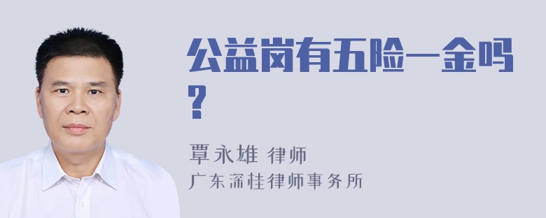 公益岗有五险一金吗?