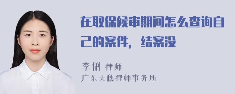 在取保候审期间怎么查询自己的案件，结案没