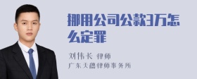 挪用公司公款3万怎么定罪