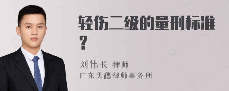 轻伤二级的量刑标准？