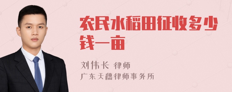 农民水稻田征收多少钱一亩