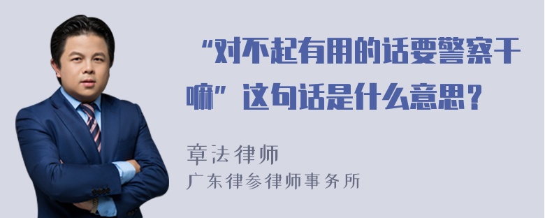 “对不起有用的话要警察干嘛”这句话是什么意思？