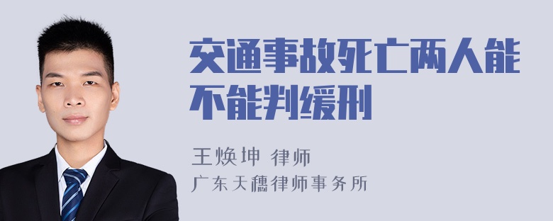 交通事故死亡两人能不能判缓刑