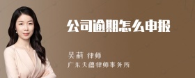 公司逾期怎么申报