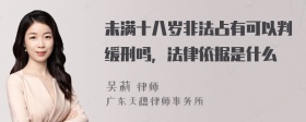 未满十八岁非法占有可以判缓刑吗，法律依据是什么