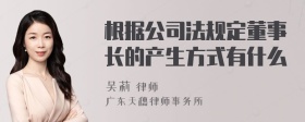 根据公司法规定董事长的产生方式有什么