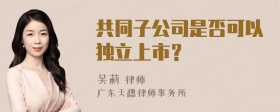 共同子公司是否可以独立上市？