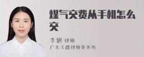 煤气交费从手机怎么交