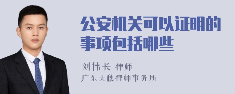 公安机关可以证明的事项包括哪些