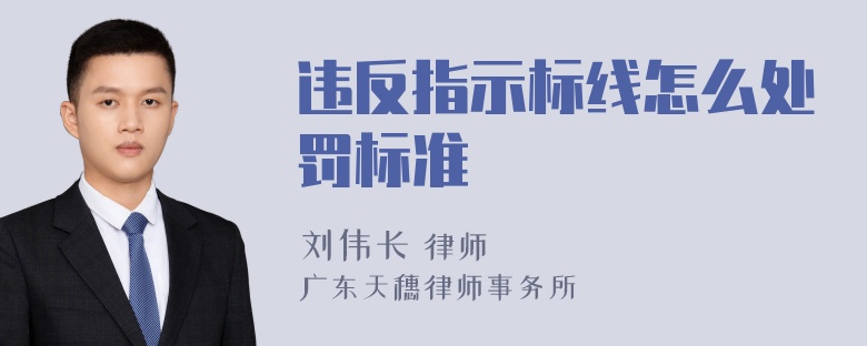 违反指示标线怎么处罚标准