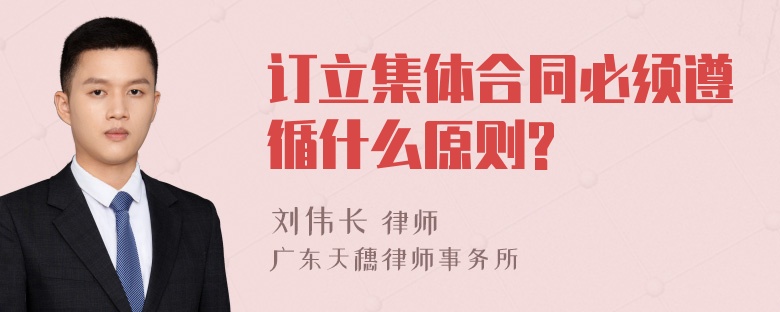 订立集体合同必须遵循什么原则?