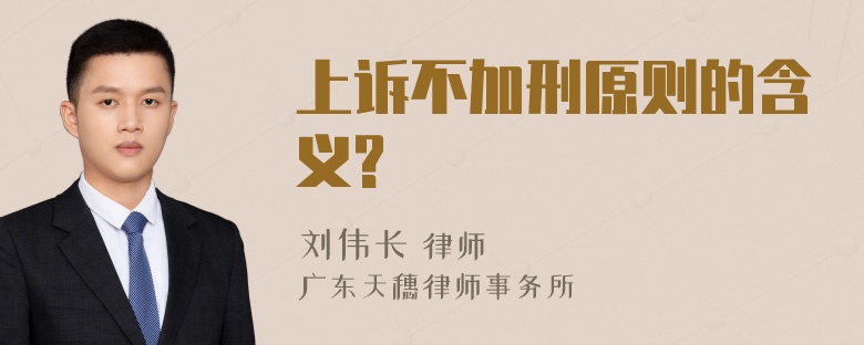 上诉不加刑原则的含义?