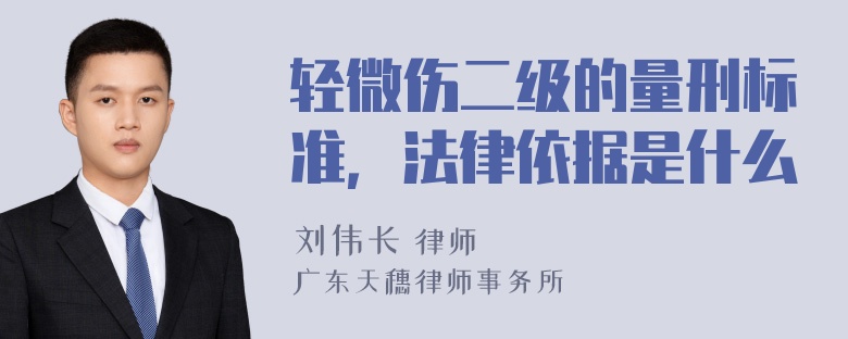 轻微伤二级的量刑标准，法律依据是什么