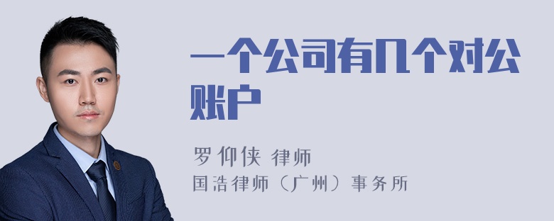 一个公司有几个对公账户