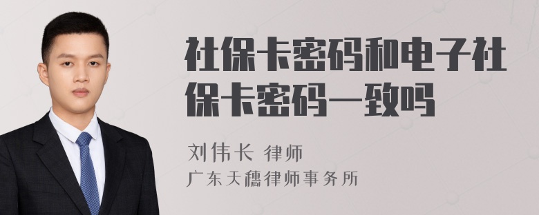 社保卡密码和电子社保卡密码一致吗