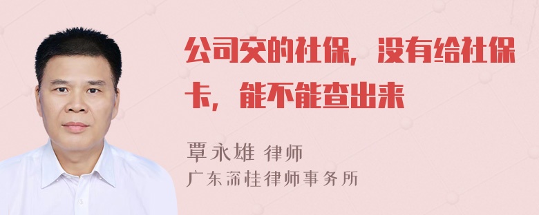 公司交的社保，没有给社保卡，能不能查出来