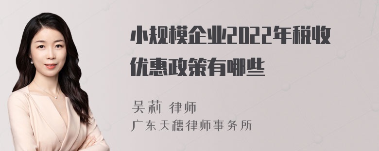 小规模企业2022年税收优惠政策有哪些