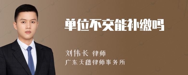 单位不交能补缴吗