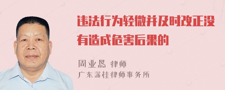 违法行为轻微并及时改正没有造成危害后果的