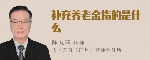 补充养老金指的是什么