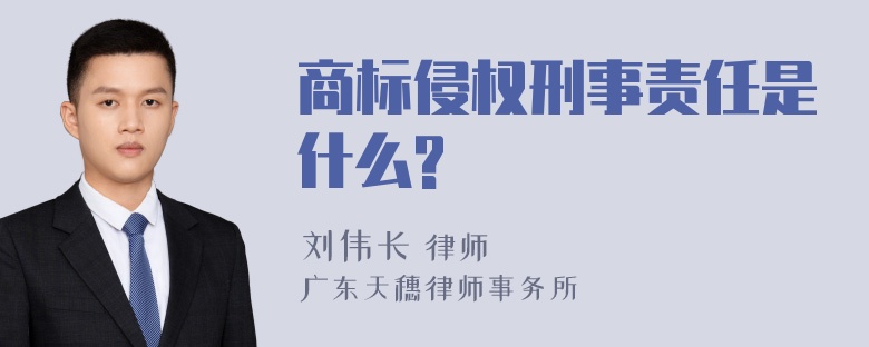 商标侵权刑事责任是什么?