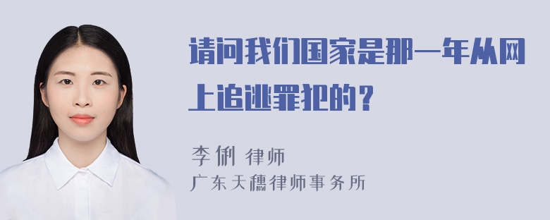 请问我们国家是那一年从网上追逃罪犯的？