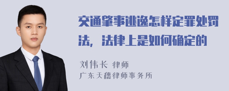 交通肇事逃逸怎样定罪处罚法，法律上是如何确定的