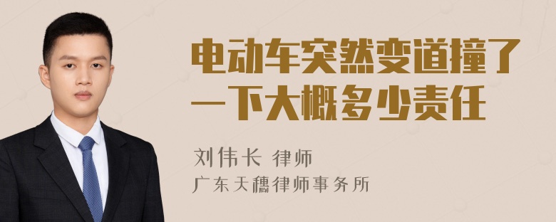 电动车突然变道撞了一下大概多少责任