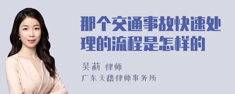 那个交通事故快速处理的流程是怎样的