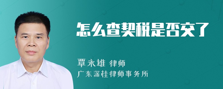 怎么查契税是否交了