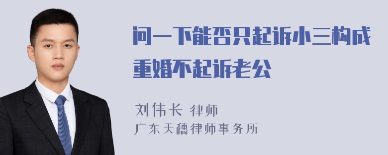 问一下能否只起诉小三构成重婚不起诉老公