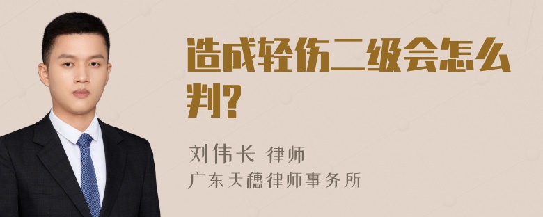 造成轻伤二级会怎么判?