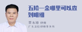 五险一金哪里可以查到明细