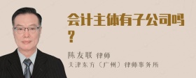 会计主体有子公司吗？