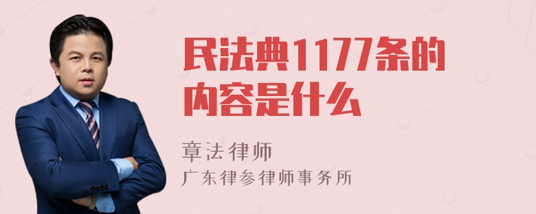 民法典1177条的内容是什么