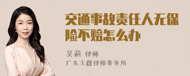 交通事故责任人无保险不赔怎么办