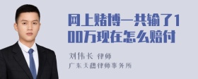 网上赌博一共输了100万现在怎么赔付