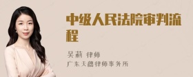 中级人民法院审判流程