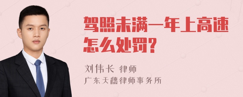 驾照未满一年上高速怎么处罚?