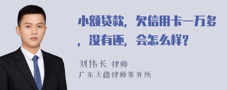 小额贷款，欠信用卡一万多，没有还，会怎么样?