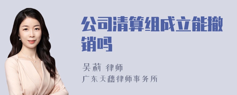 公司清算组成立能撤销吗