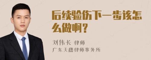 后续验伤下一步该怎么做啊？